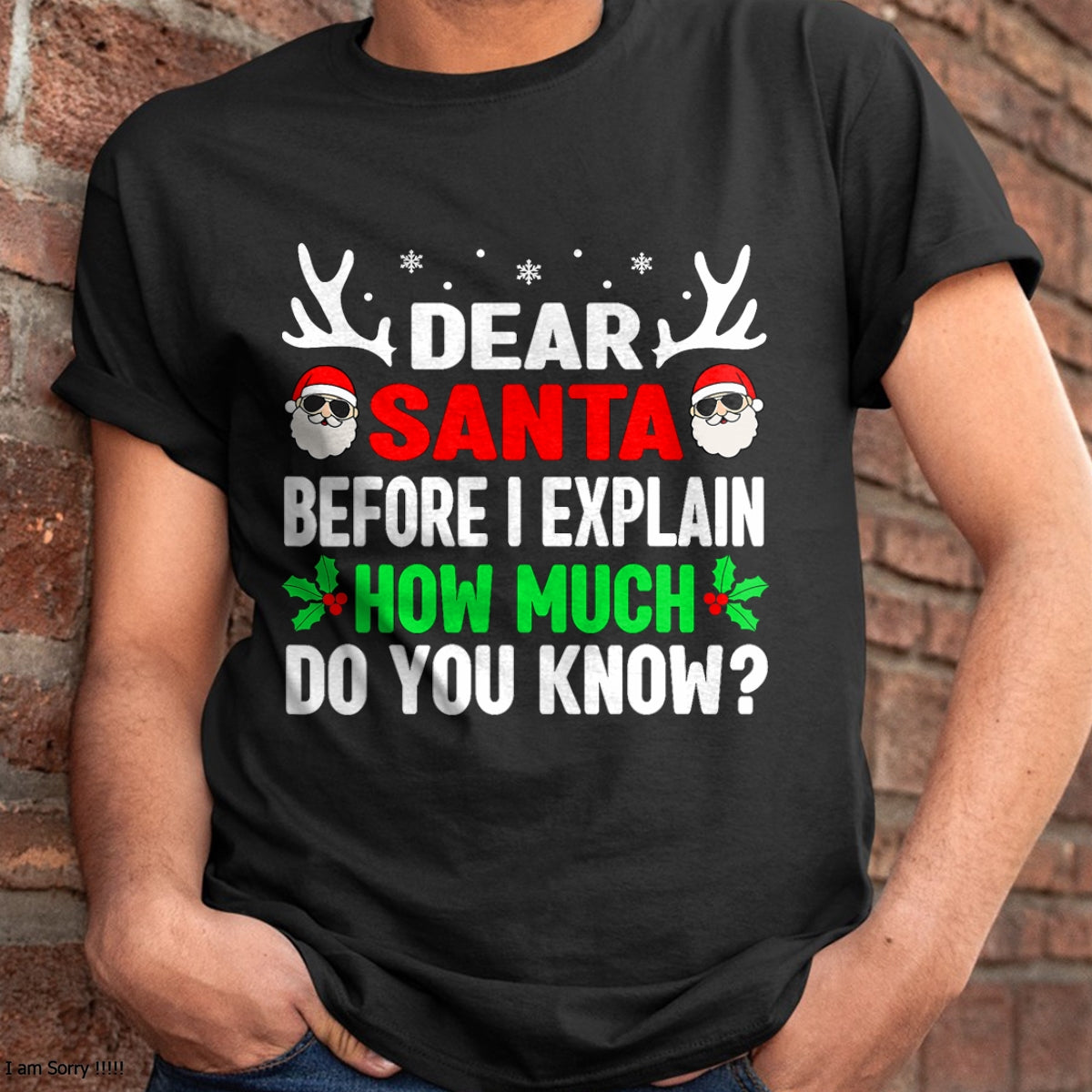 Christmas Shirts for Family, Funny christmas shirts, Christmas Unisex T-Shirt/Hoodie/Sweatshirt HLT00 - Funny Christmas Kids Adults Dear Santa I Can Explain T-Shirt