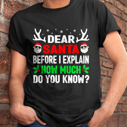 Christmas Shirts for Family, Funny christmas shirts, Christmas Unisex T-Shirt/Hoodie/Sweatshirt HLT00 - Funny Christmas Kids Adults Dear Santa I Can Explain T-Shirt