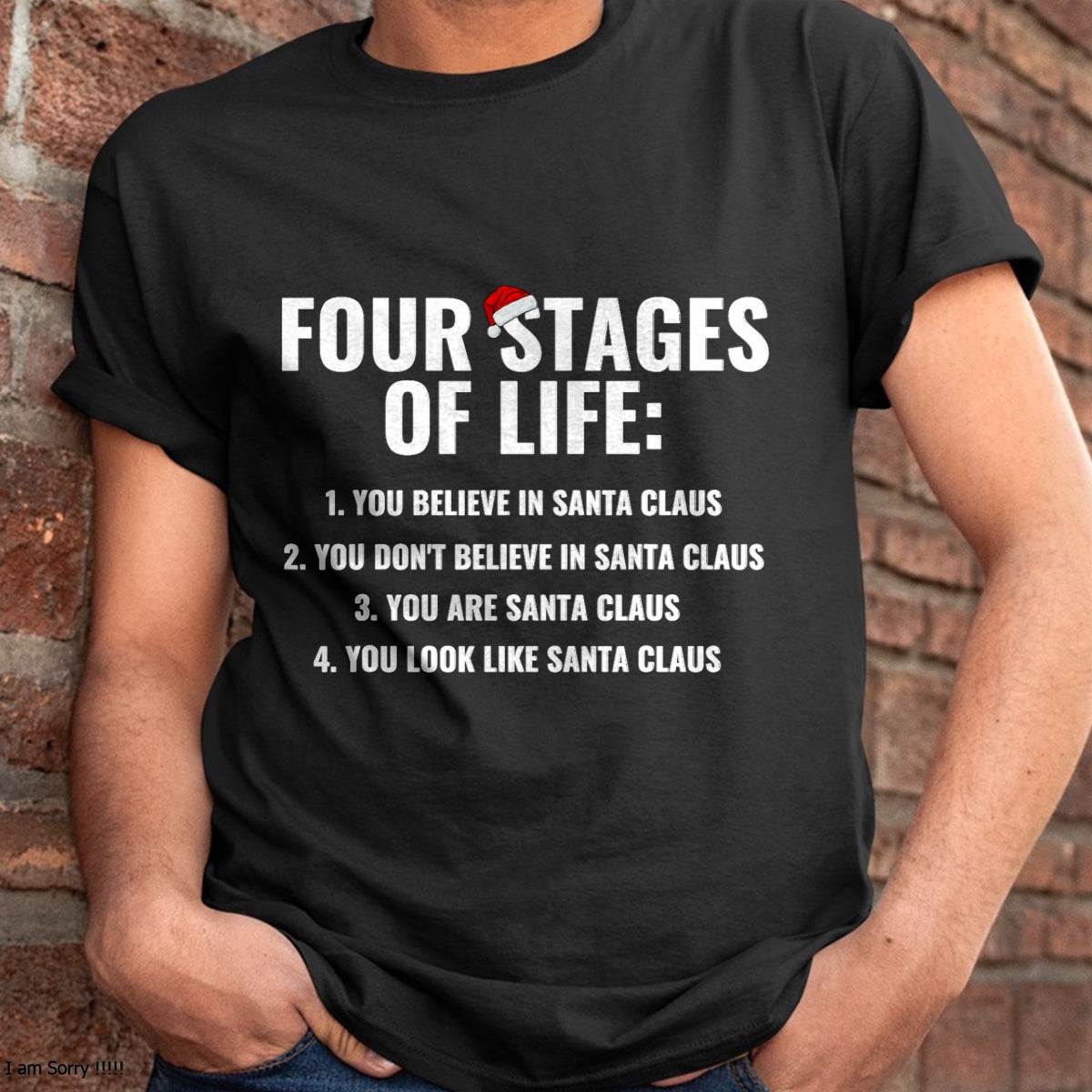 Christmas Shirts for Family, Funny christmas shirts, Christmas Unisex T-Shirt/Hoodie/Sweatshirt HLT00 - Christmas Funny Four Stages of life Santa Claus Humor Meme T-Shirt
