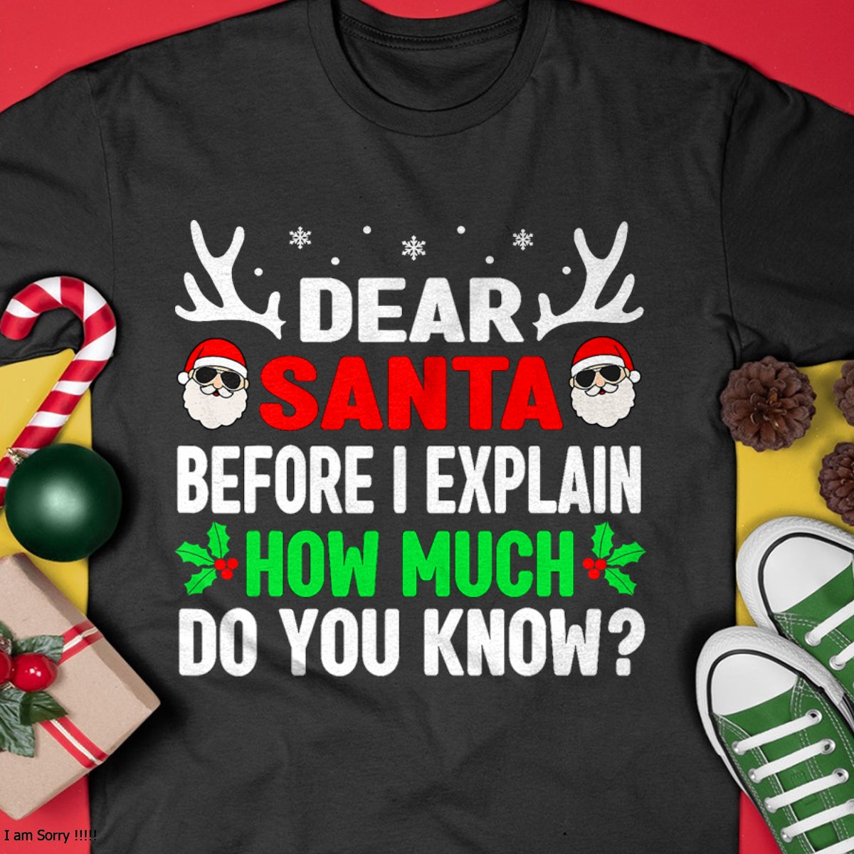 Christmas Shirts for Family, Funny christmas shirts, Christmas Unisex T-Shirt/Hoodie/Sweatshirt HLT00 - Funny Christmas Kids Adults Dear Santa I Can Explain T-Shirt