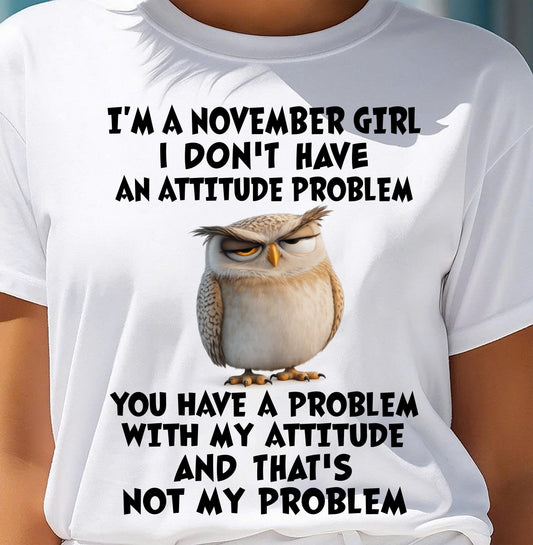 NOVEMBER - I DON'T HAVE AN ATTITUDE PROBLEM - Birthday T Shirt For Woman - TRNN11 (SKU2604-61-11)