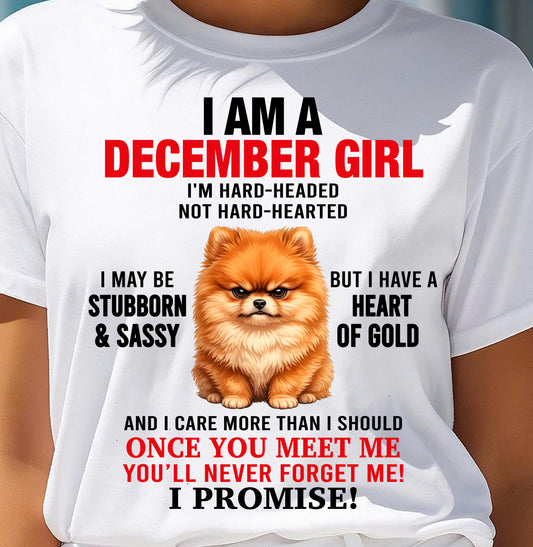 DECEMBER - I'M HARD-HEADED NOT HARD-HEARTED - Birthday T Shirt For Woman - TRNN12 (SKU2604-230-12)