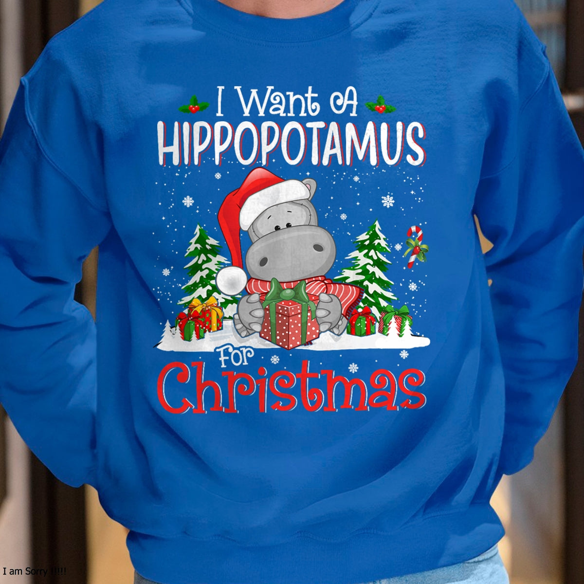 Christmas Shirts for Family, Funny christmas shirts, Christmas Unisex T-Shirt/Hoodie/Sweatshirt HLT00 - I Want A Hippopotamus For Christmas Xmas Hippo for Kid Women T-Shirt