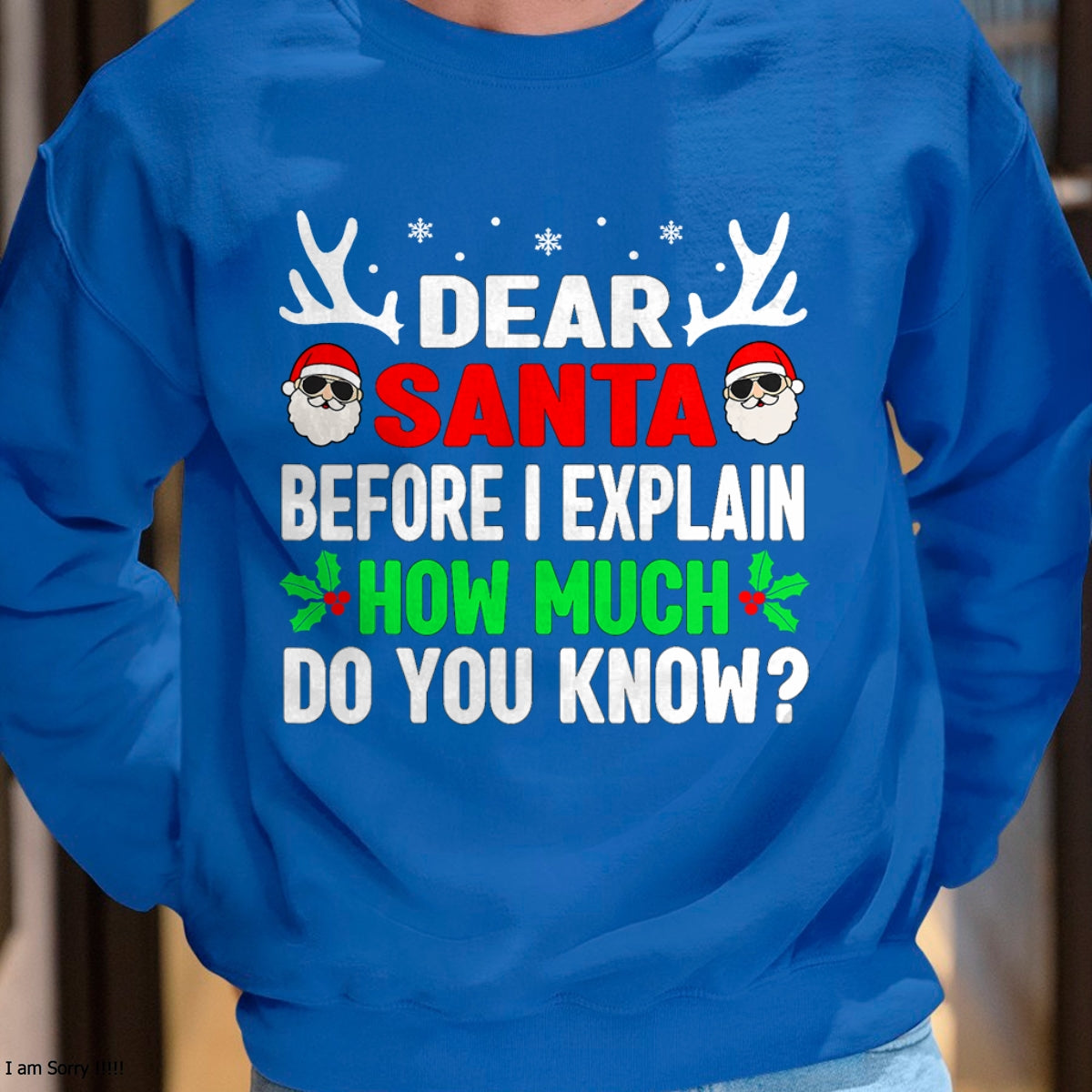 Christmas Shirts for Family, Funny christmas shirts, Christmas Unisex T-Shirt/Hoodie/Sweatshirt HLT00 - Funny Christmas Kids Adults Dear Santa I Can Explain T-Shirt