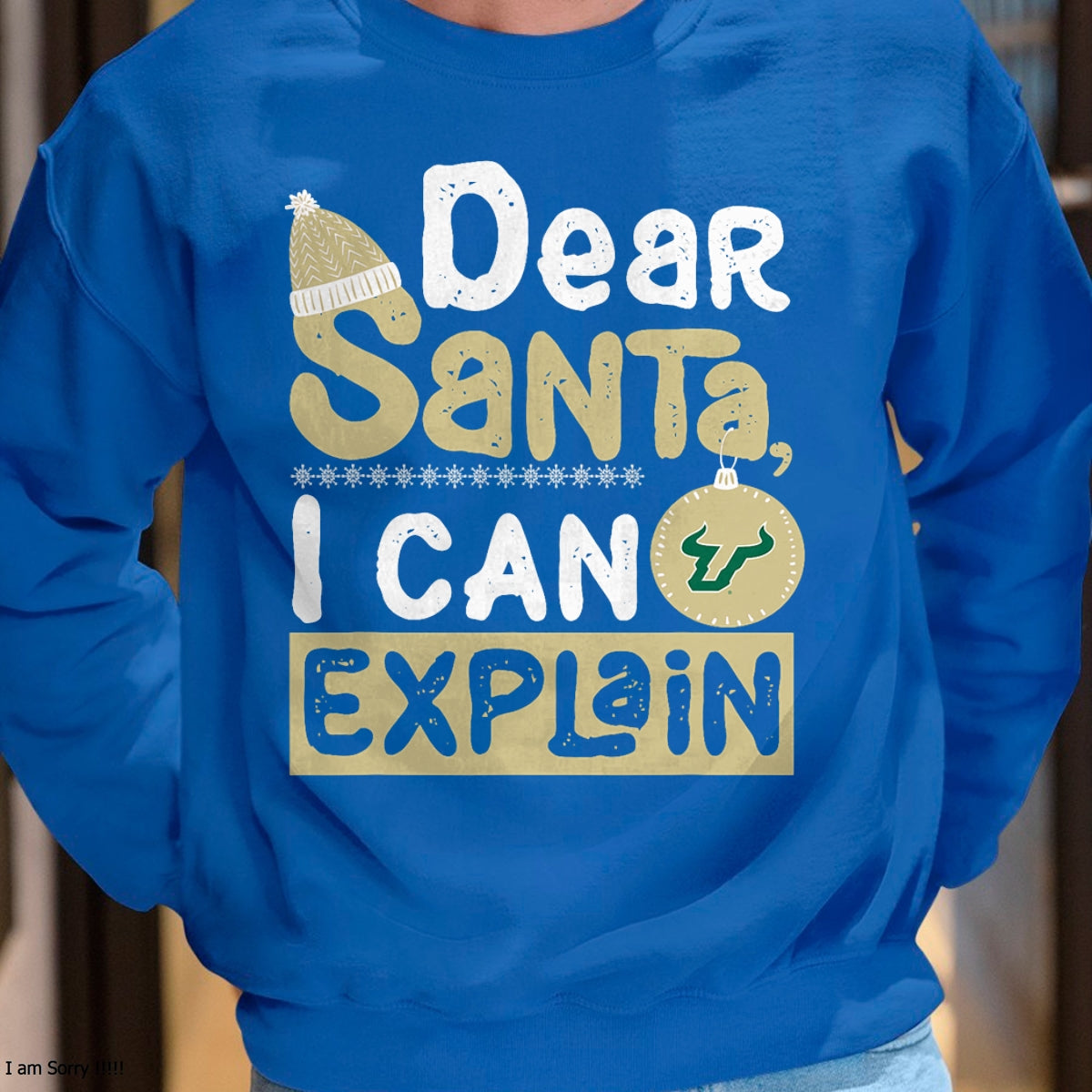 Christmas Shirts for Family, Funny christmas shirts, Christmas Unisex T-Shirt/Hoodie/Sweatshirt HLT00 - South Florida Bulls Dear Santa Explain Funny Ugly Christmas T-Shirt
