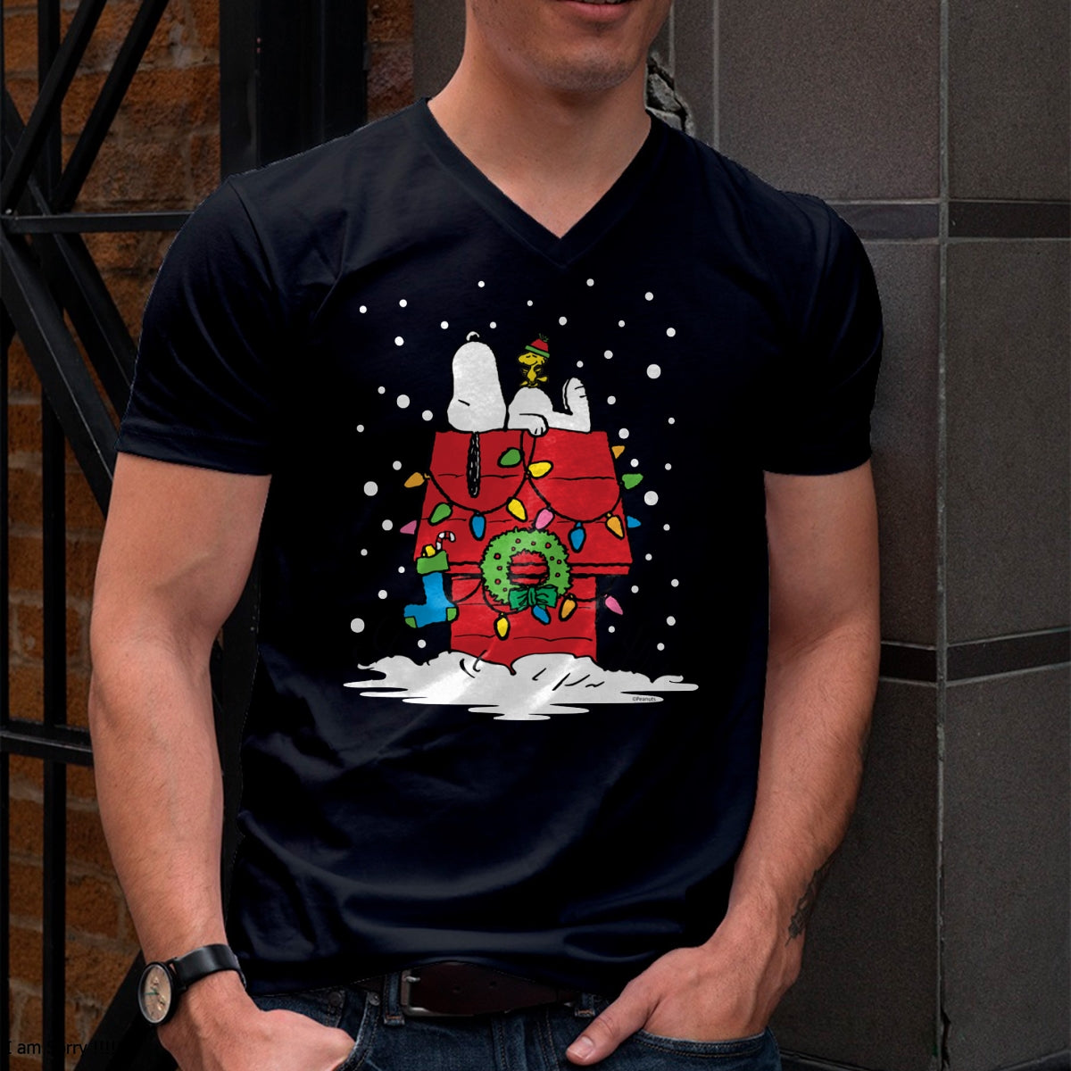 Christmas Shirts for Family, Funny christmas shirts, Christmas Unisex T-Shirt/Hoodie/Sweatshirt HLT00 - Peanuts Snoopy and Woodstock Stocking Long Sleeve T-Shirt
