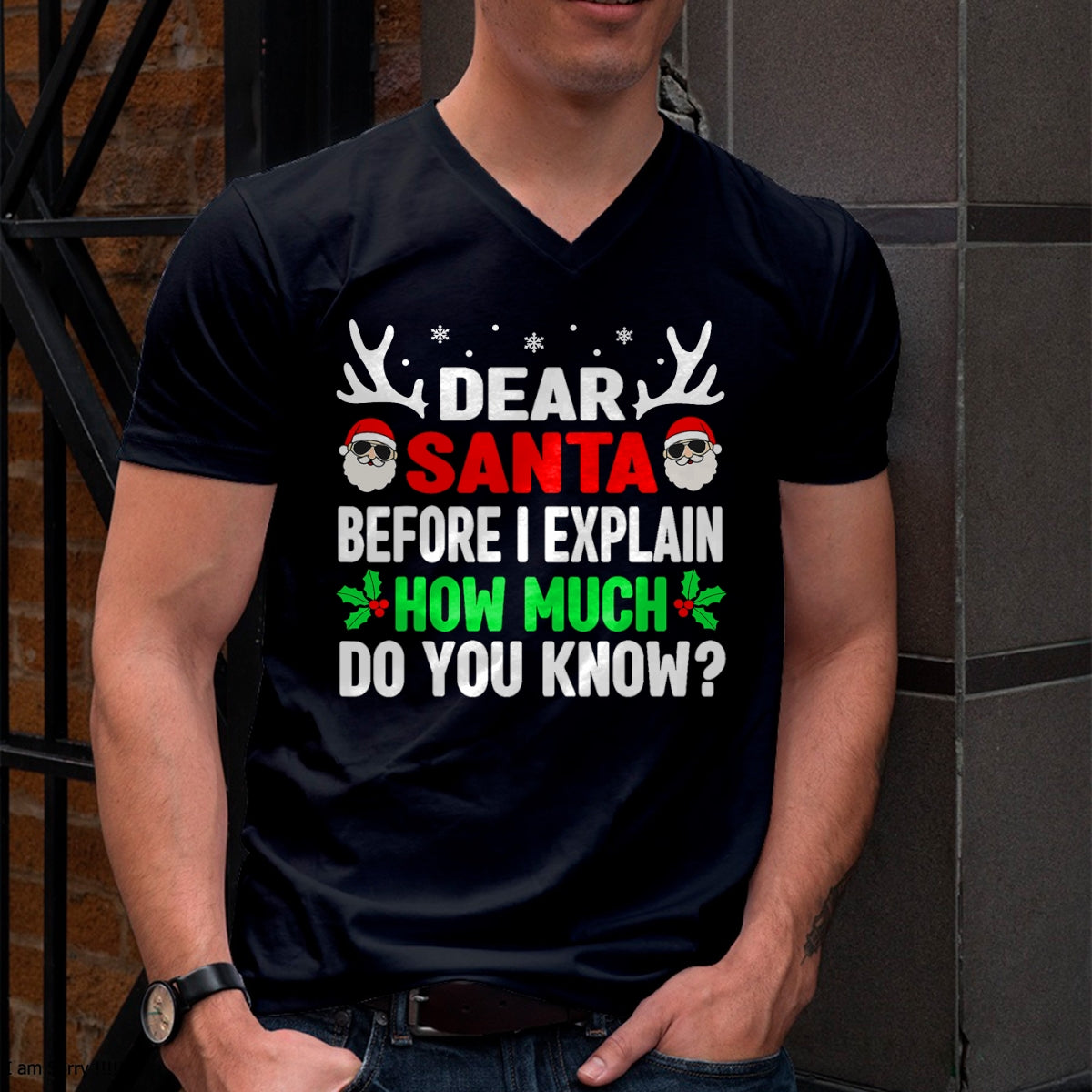 Funny Christmas Kids Adults Dear Santa I Can Explain T-Shirt - Christmas Unisex T-Shirt/Hoodie/Sweatshirt - TRNN00