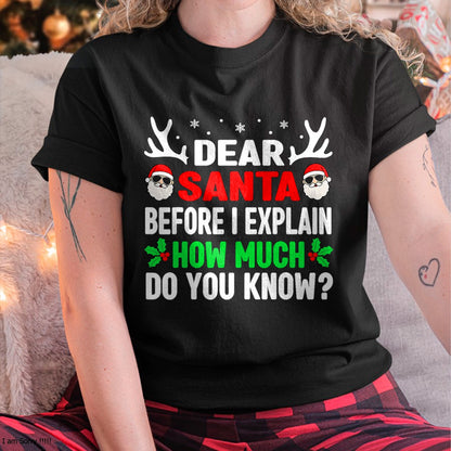 Christmas Shirts for Family, Funny christmas shirts, Christmas Unisex T-Shirt/Hoodie/Sweatshirt HLT00 - Funny Christmas Kids Adults Dear Santa I Can Explain T-Shirt