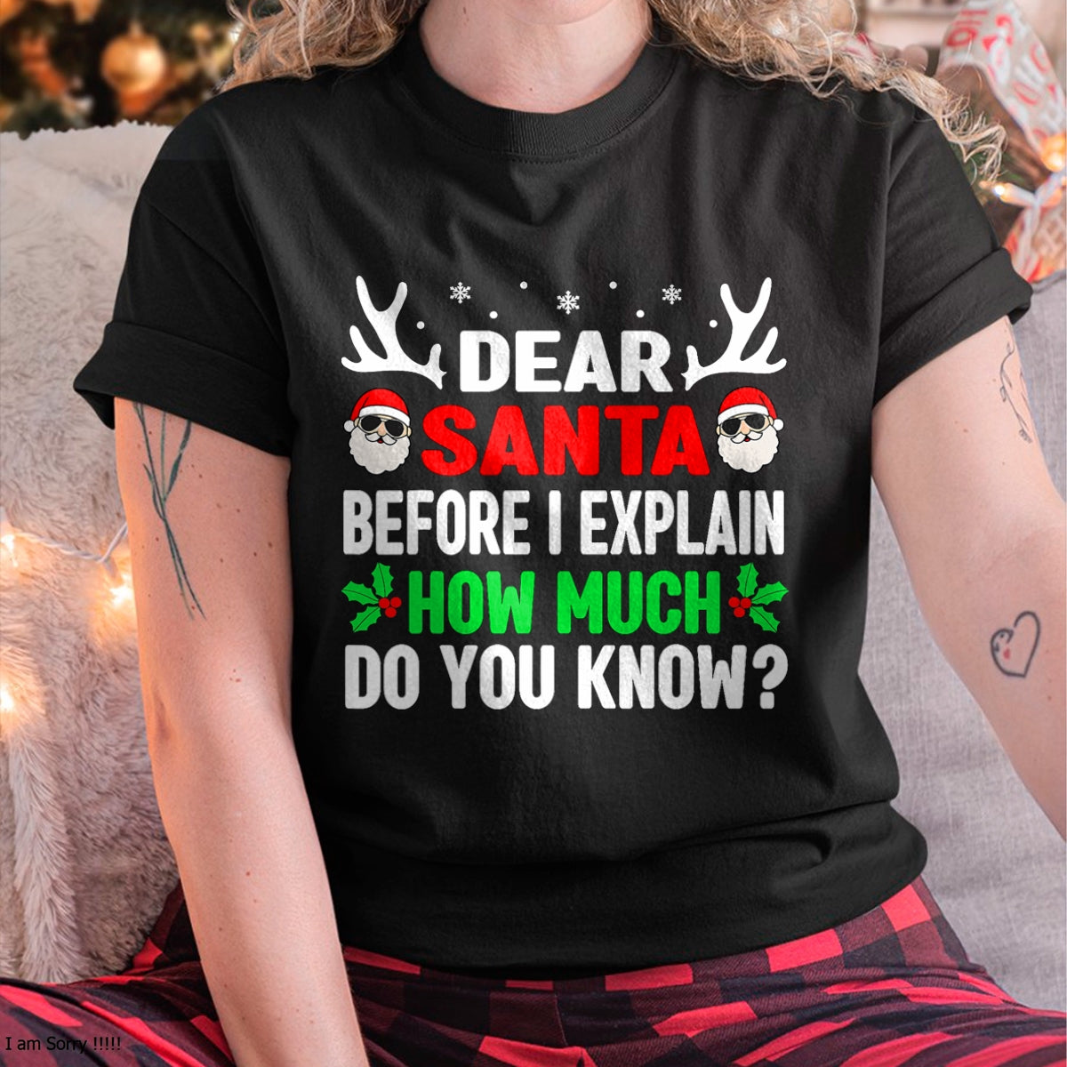 Funny Christmas Kids Adults Dear Santa I Can Explain T-Shirt - Christmas Unisex T-Shirt/Hoodie/Sweatshirt - TRNN00