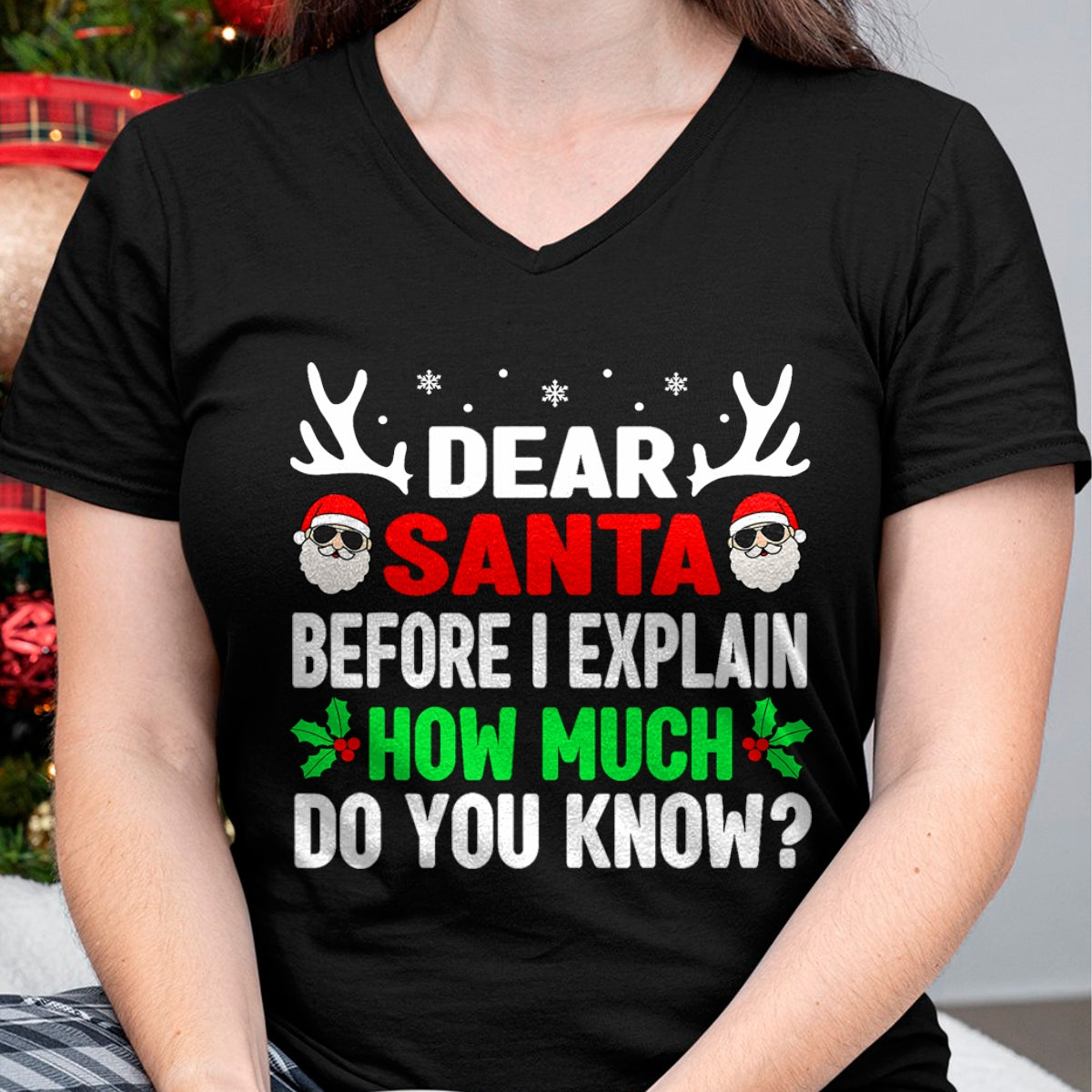 Christmas Shirts for Family, Funny christmas shirts, Christmas Unisex T-Shirt/Hoodie/Sweatshirt HLT00 - Funny Christmas Kids Adults Dear Santa I Can Explain T-Shirt