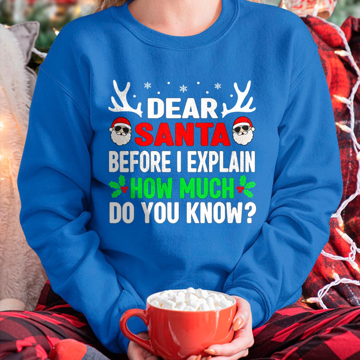 Funny Christmas Kids Adults Dear Santa I Can Explain T-Shirt - Christmas Unisex T-Shirt/Hoodie/Sweatshirt - TRNN00