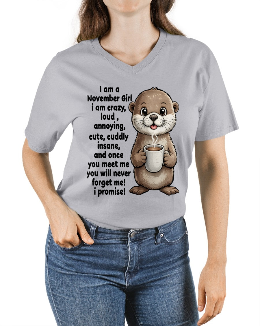 NOVEMBER - A Little Crazy, Sassy, Loud & Impossible To Forget - BIRTHDAY GIFT T-SHIRT FOR WOMEN - TRNN11 (SKU2602-221-11)